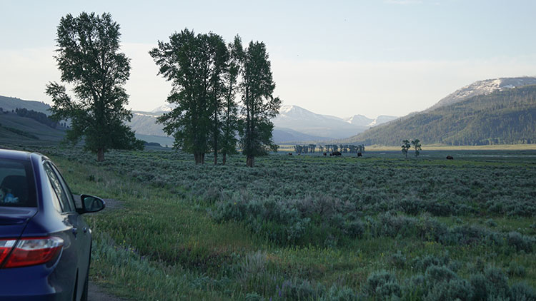 Yellowstone